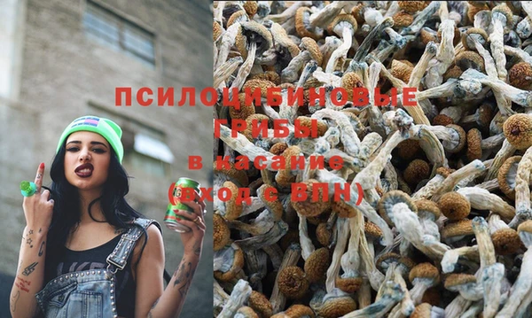 амф Балабаново